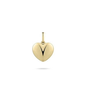 Gisser Herz-Anhänger in Gold P1086Y